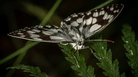 Uns hat ein Leserbrief erreicht