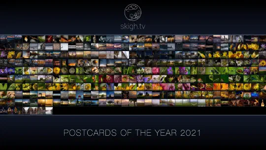 skigh.tv Bilder des Jahres 2021