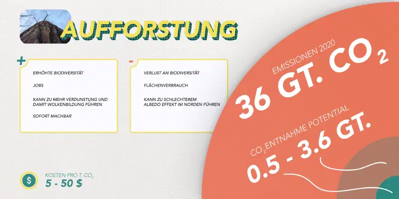 aufforstung.jpg