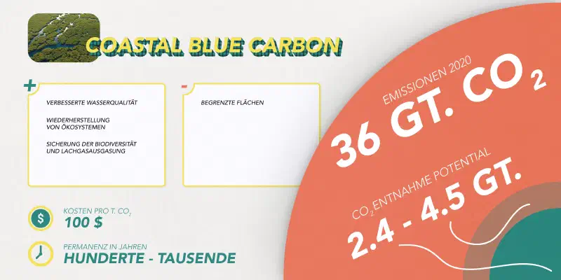 coastal-blue.jpg