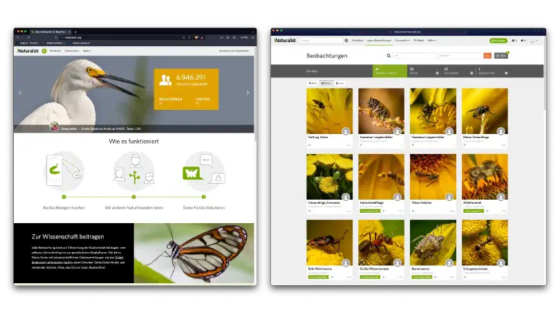 www.iNaturalist.org – Citizen-Science-Projekt für die Dokumentation der weltweiten Artenvielfalt