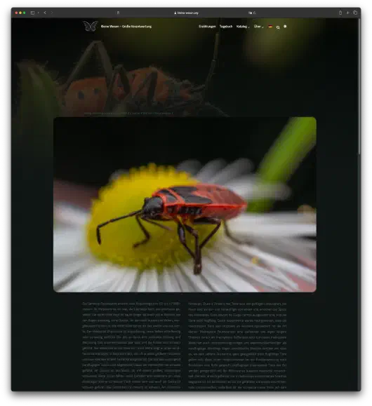 screenshot3.png