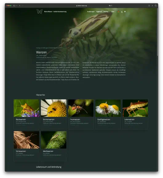 screenshot4.png