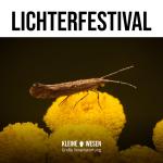 Kleine Wesen