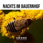 Kleine Wesen