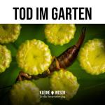 Kleine Wesen