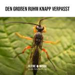 Kleine Wesen