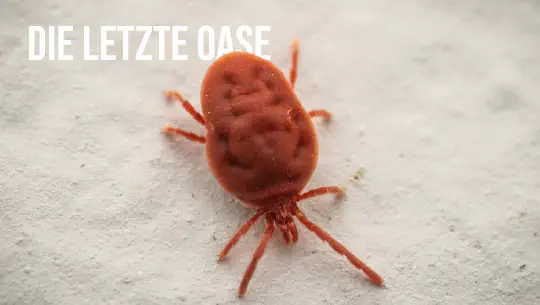 Episode 7: Die letzte Oase