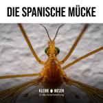 Kleine Wesen