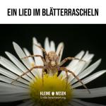 Kleine Wesen
