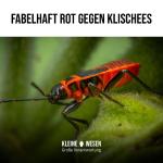 Kleine Wesen