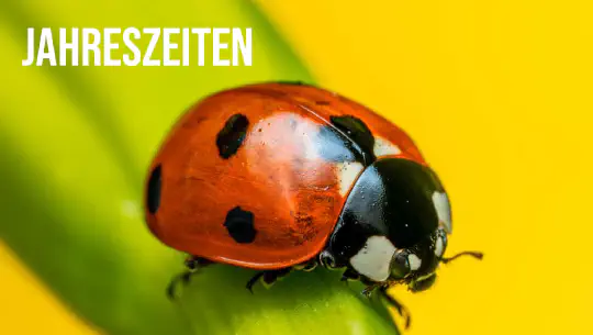 Episode 12: Jahreszeiten