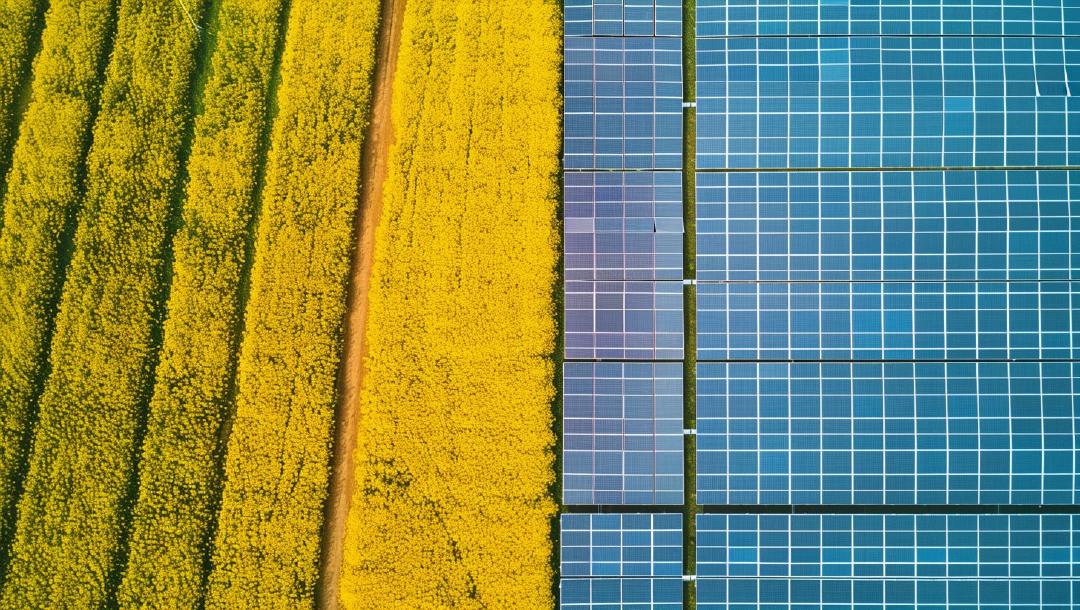 Ein Effizienz-Vergleich: 1 Quadratmeter ≠ 1 Quadratmeter