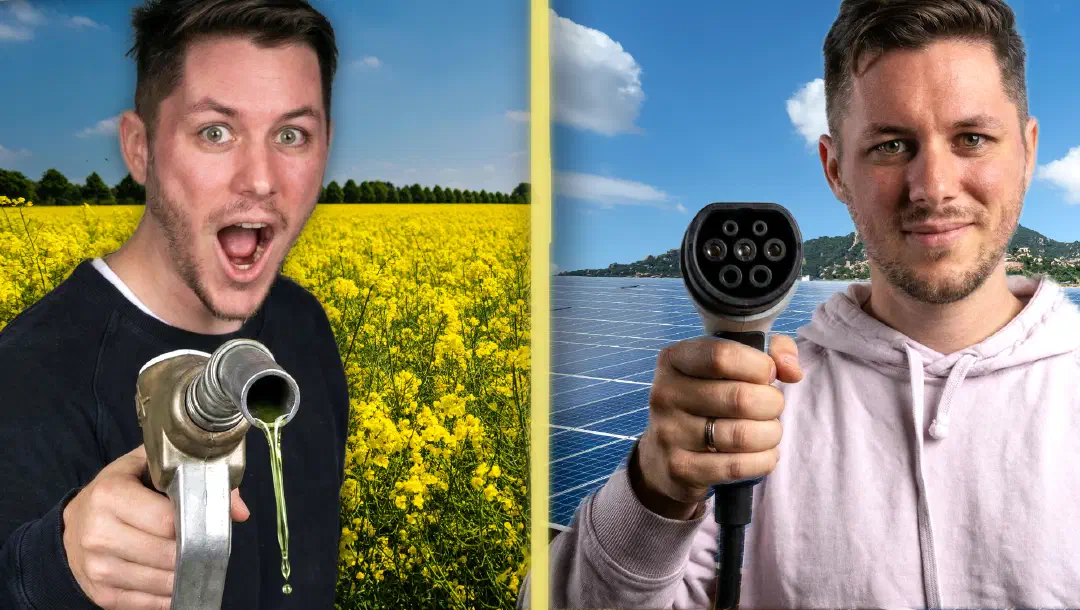 Bioenergie oder Solar: Was nutzt knappe Flächen wirklich besser?