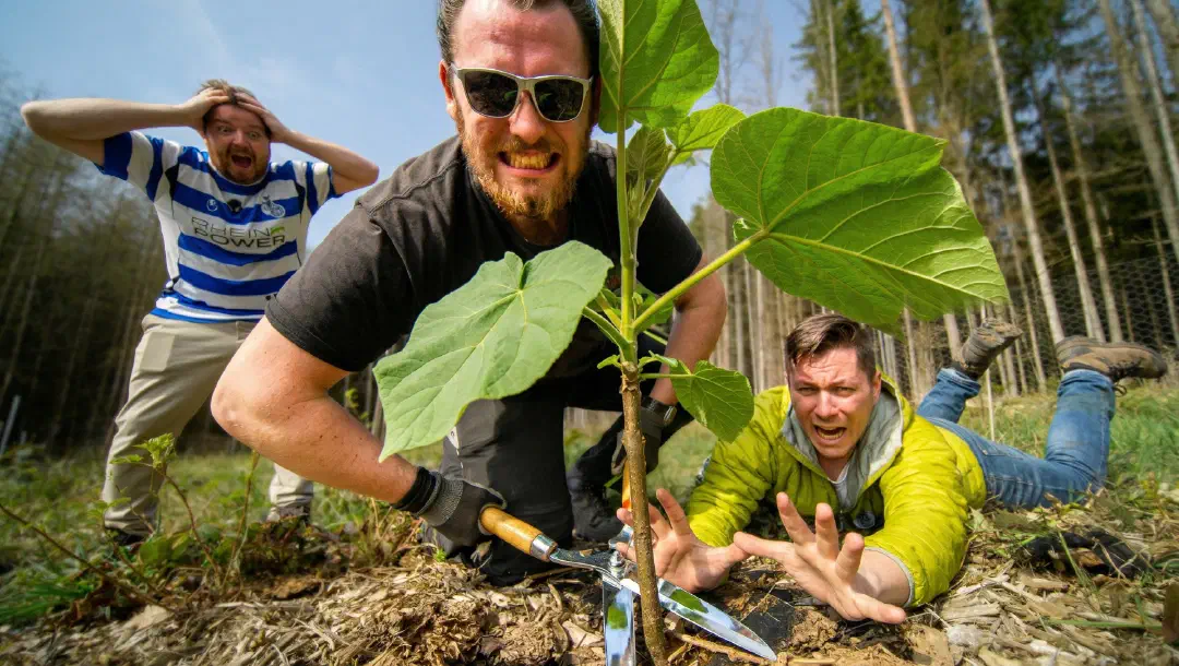 Wir haben Bäume gepflanzt. Jetzt schneiden wir sie wieder ab.