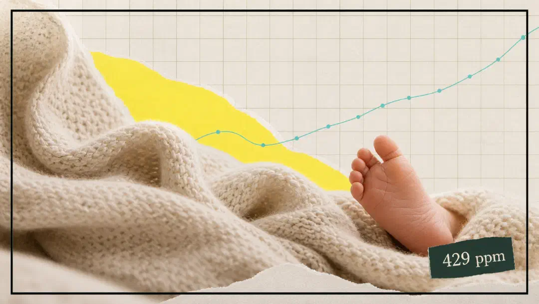 „Born at 429 ppm“ – Willkommen im Anthropozän