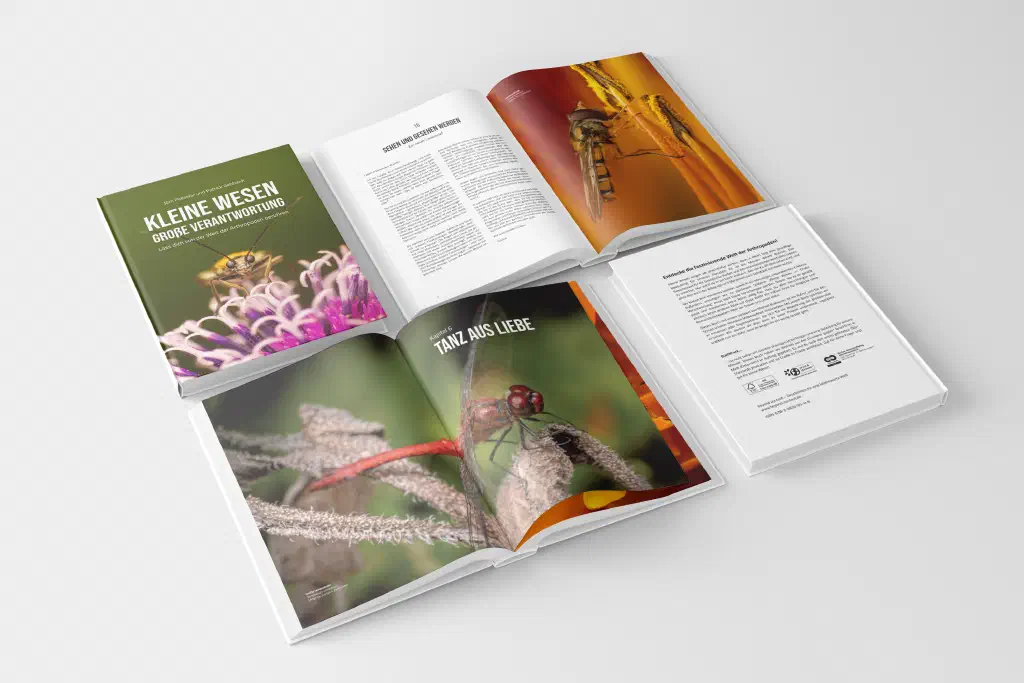 buch-mockup-2.jpg