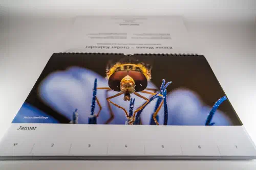 kalender-1.jpg