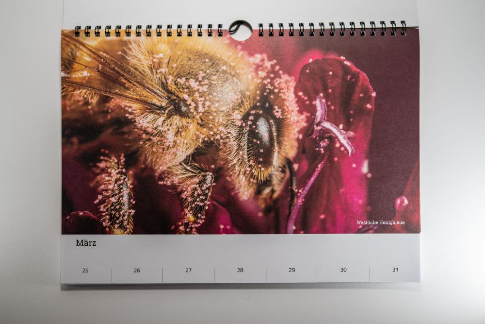 Kleine Wesen für die Wand