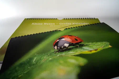kalender-3.jpg