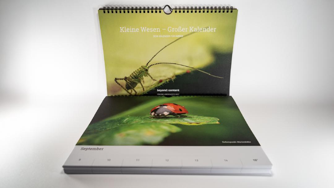 „Kleine Wesen – Großer Kalender“