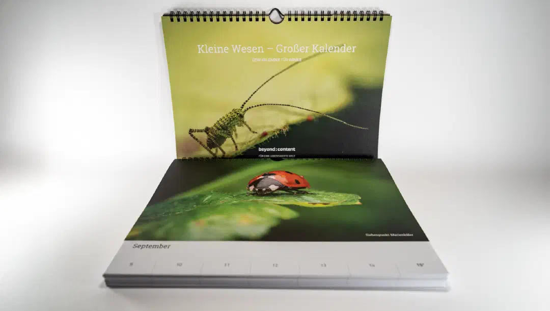 „Kleine Wesen – Großer Kalender“